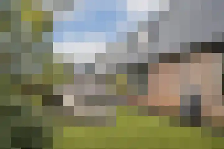 Platanendreef 136 Vlaardingen thumbnail 15