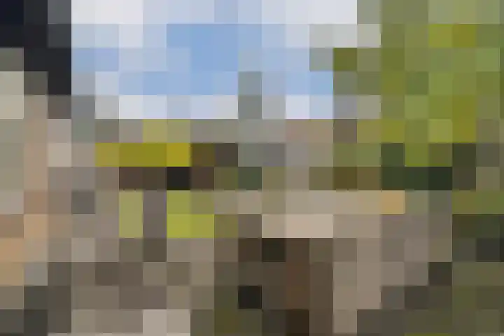 Platanendreef 136 Vlaardingen thumbnail 16
