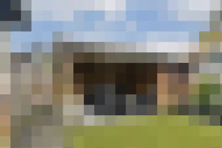 Platanendreef 136 Vlaardingen thumbnail 17