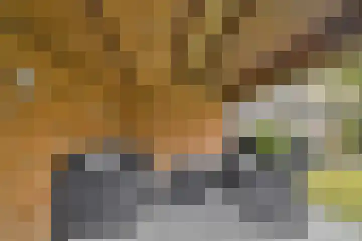 Platanendreef 136 Vlaardingen thumbnail 18