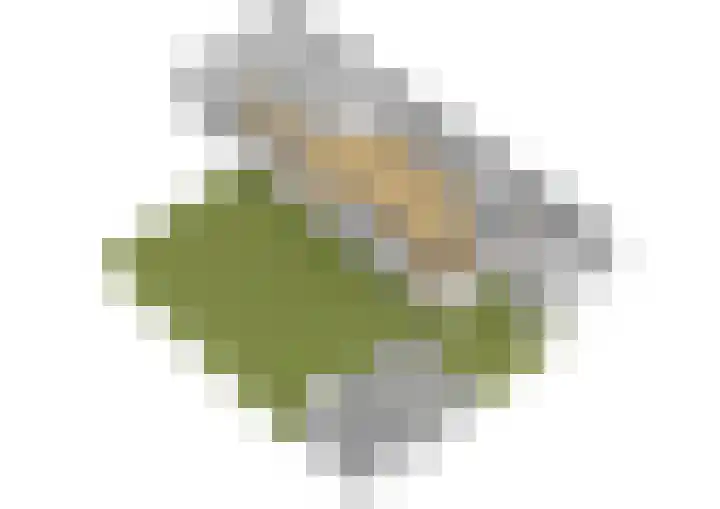 Platanendreef 136 Vlaardingen thumbnail 36