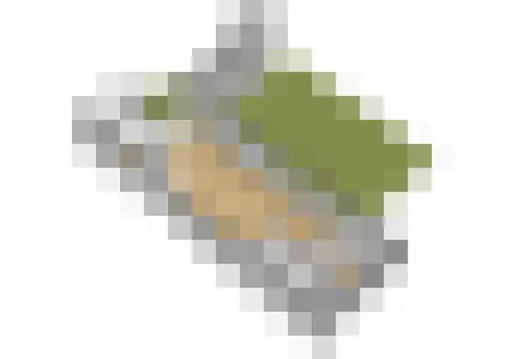 Platanendreef 136 Vlaardingen thumbnail 37