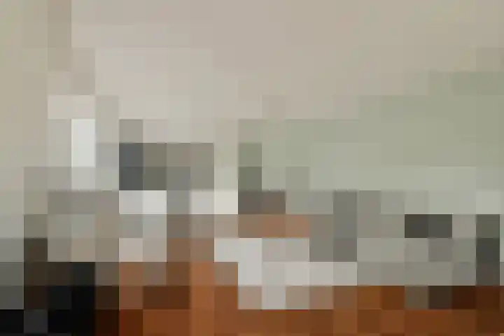 Platanendreef 136 Vlaardingen thumbnail 4
