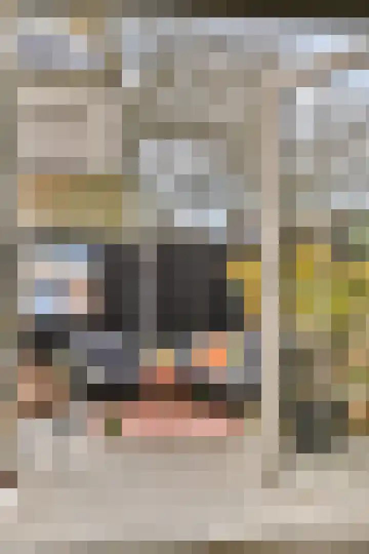 Platanendreef 2 Vlaardingen thumbnail 14