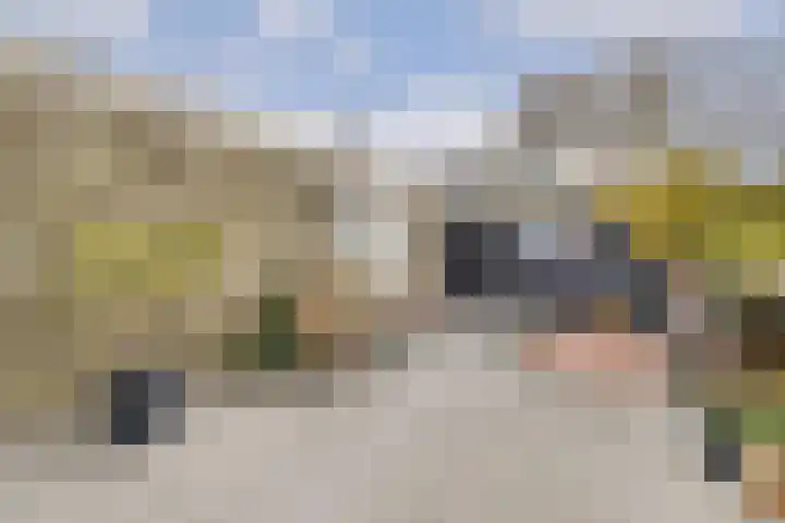 Platanendreef 2 Vlaardingen thumbnail 16