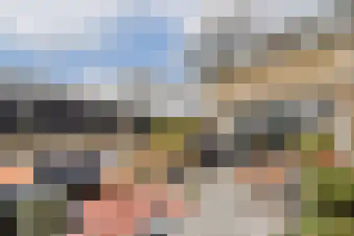 Platanendreef 2 Vlaardingen thumbnail 17