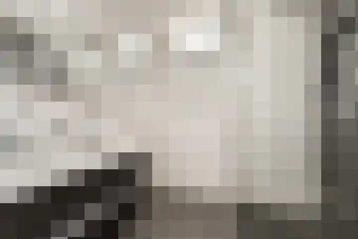 Platanendreef 2 Vlaardingen thumbnail 30