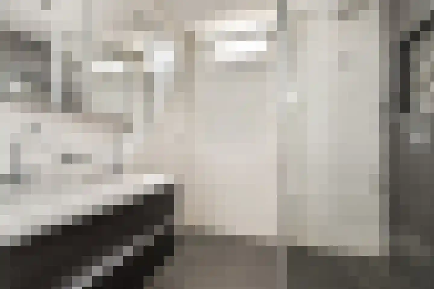 Platanendreef 2 Vlaardingen thumbnail 30