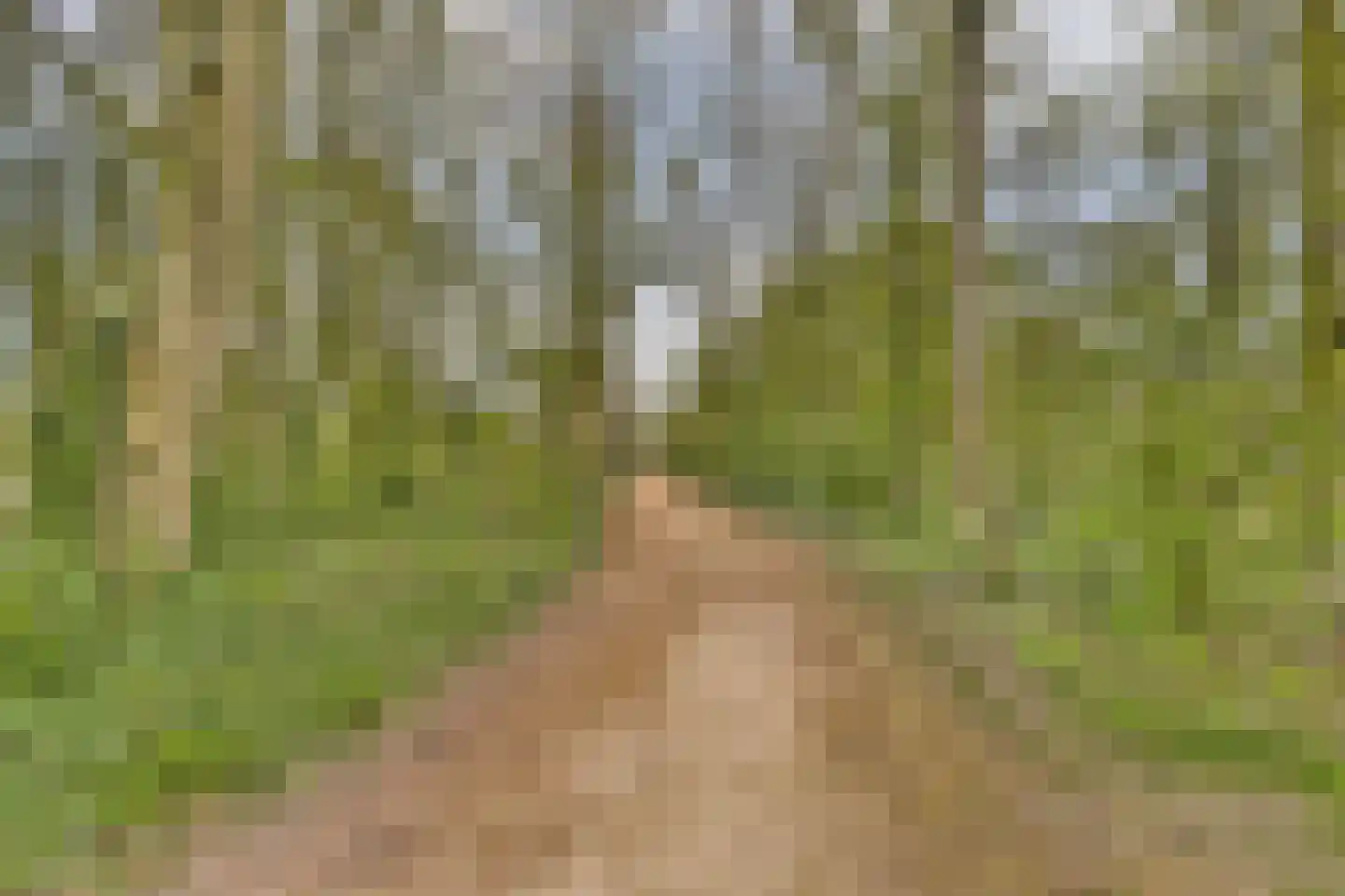 Platanendreef 2 Vlaardingen thumbnail 34
