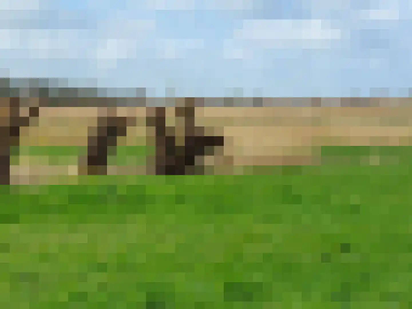 Platanendreef 2 Vlaardingen thumbnail 35