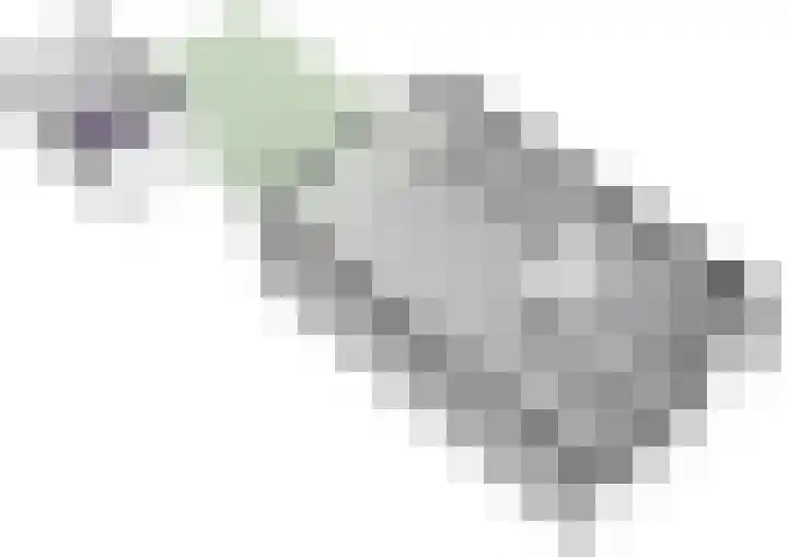 Platanendreef 2 Vlaardingen thumbnail 40