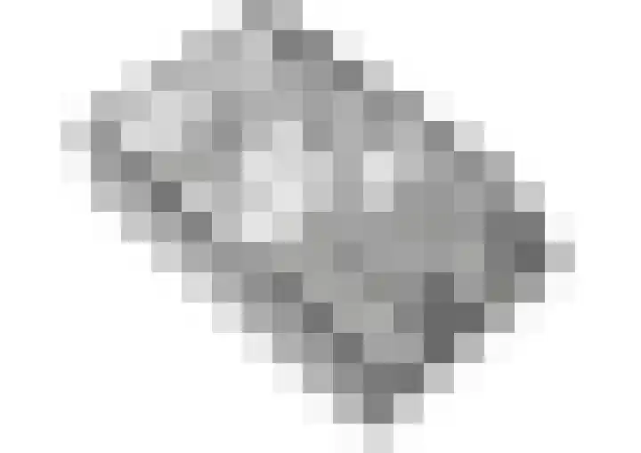 Platanendreef 2 Vlaardingen thumbnail 41