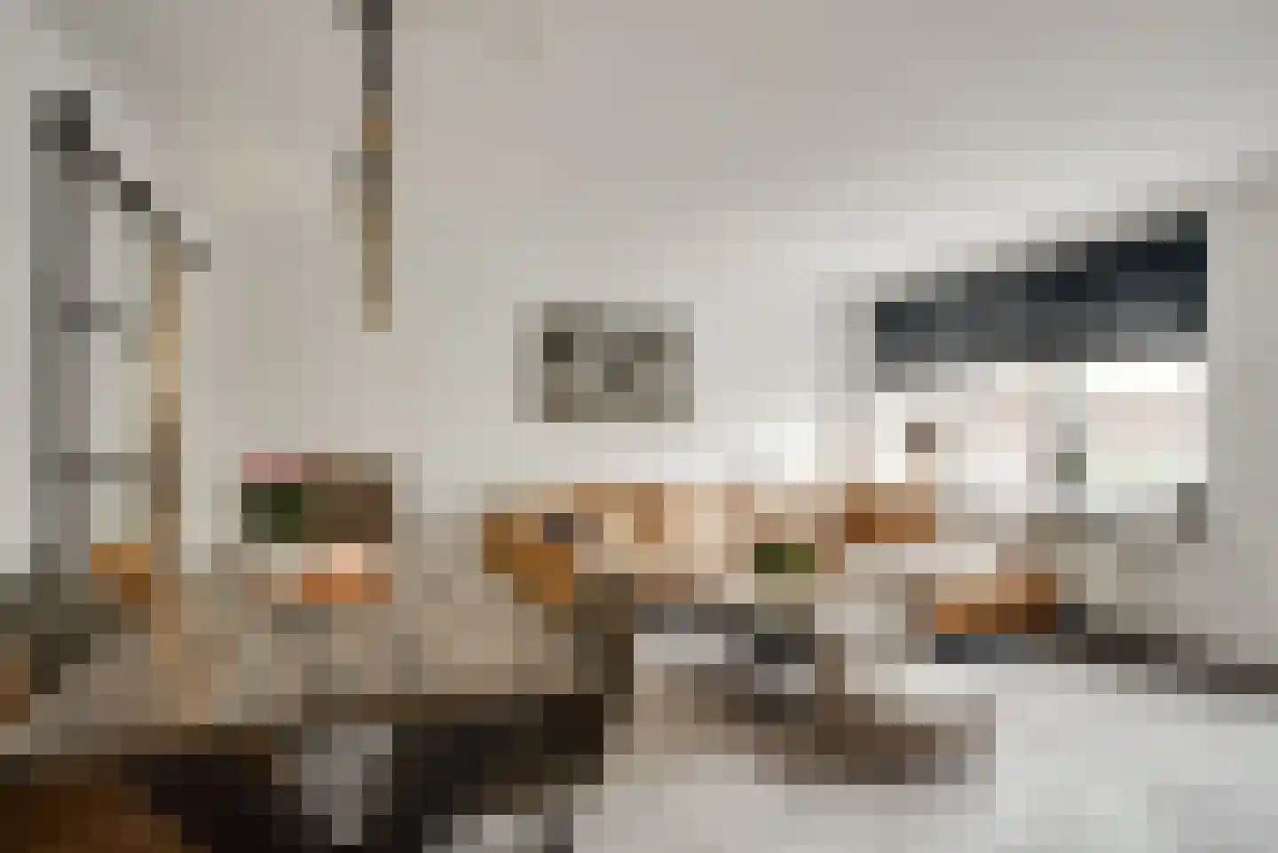 Platanendreef 20 Vlaardingen thumbnail 11