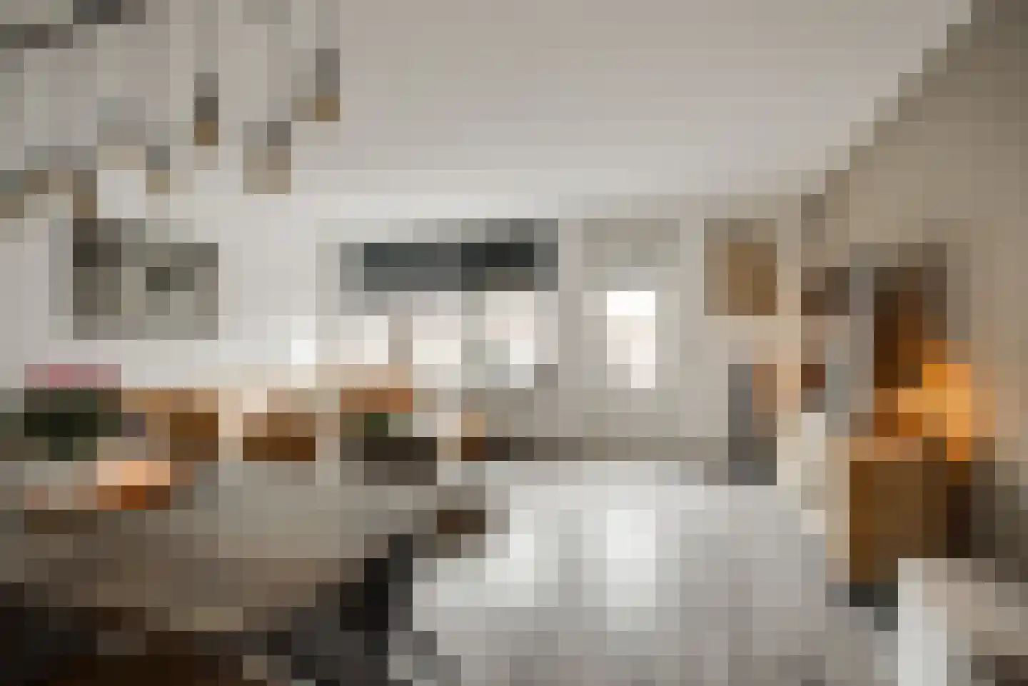Platanendreef 20 Vlaardingen thumbnail 12