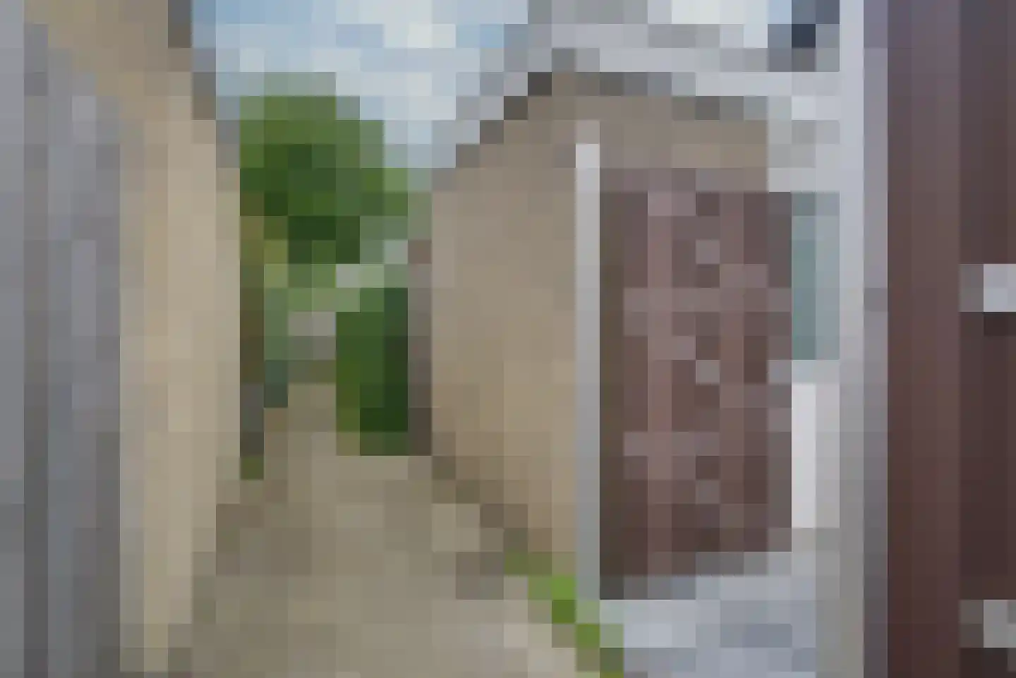 Platanendreef 20 Vlaardingen thumbnail 19