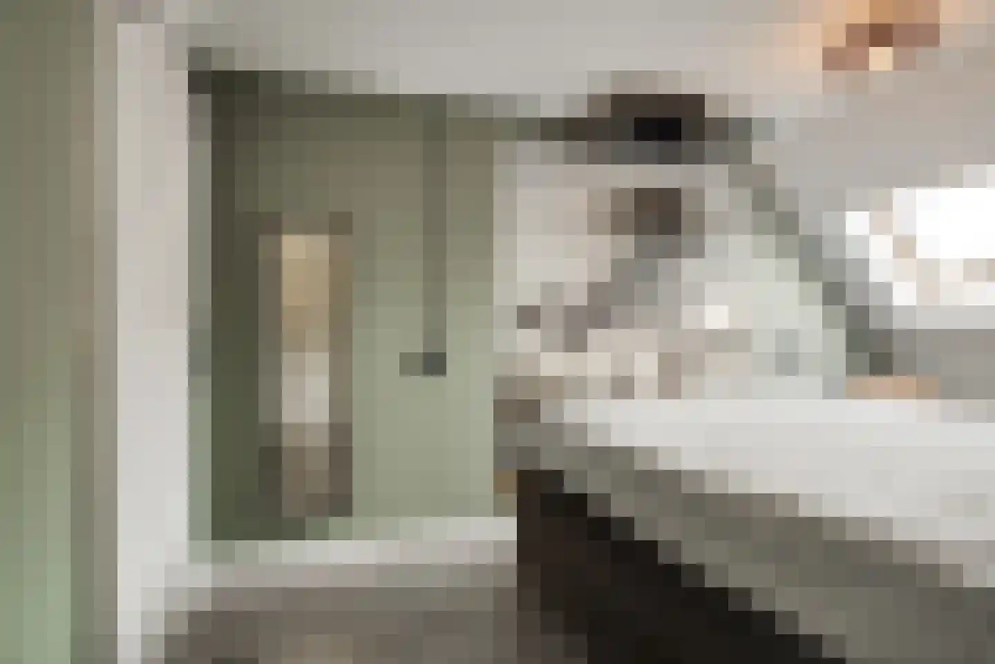 Platanendreef 20 Vlaardingen thumbnail 30