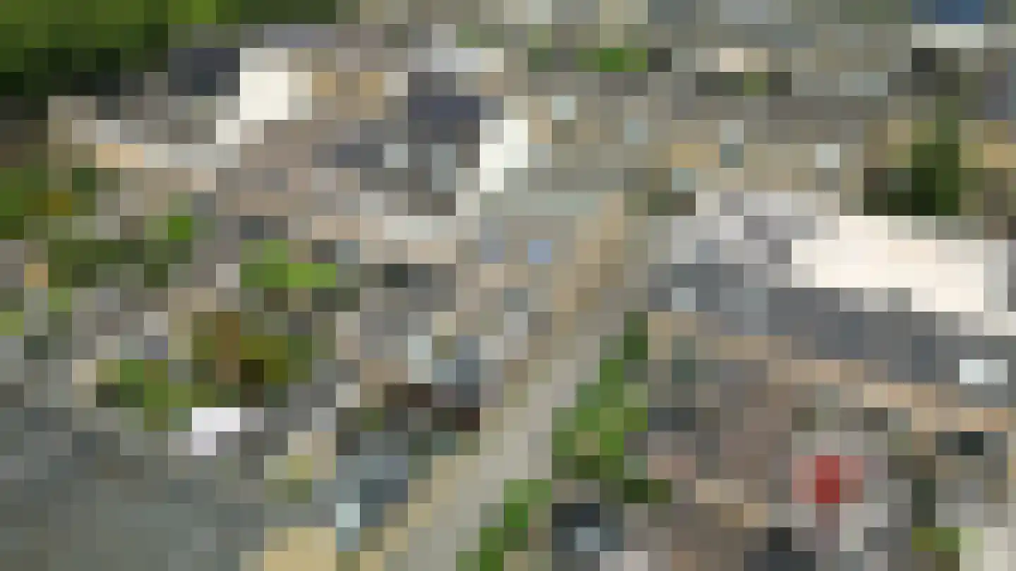 Platanendreef 20 Vlaardingen thumbnail 40