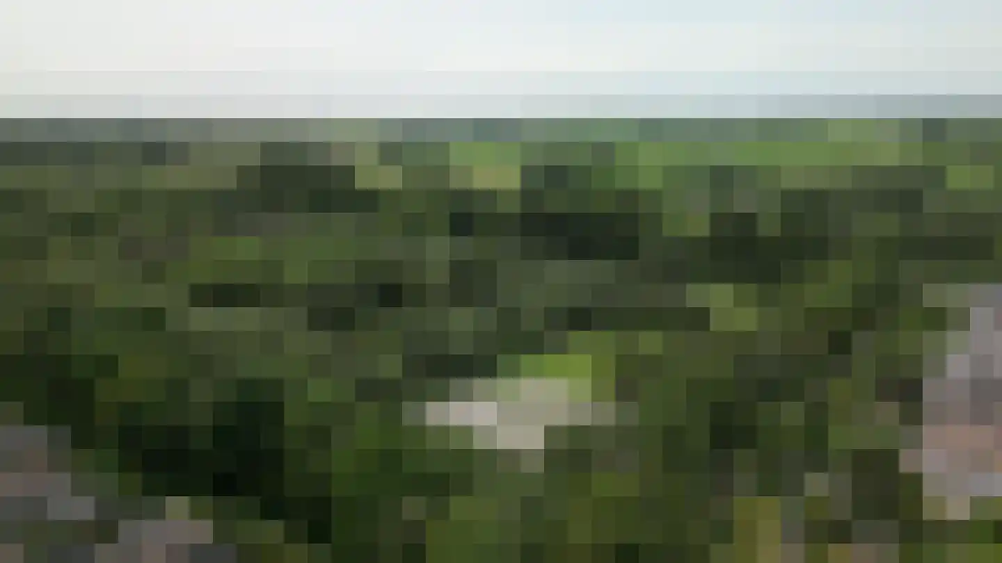 Platanendreef 20 Vlaardingen thumbnail 41
