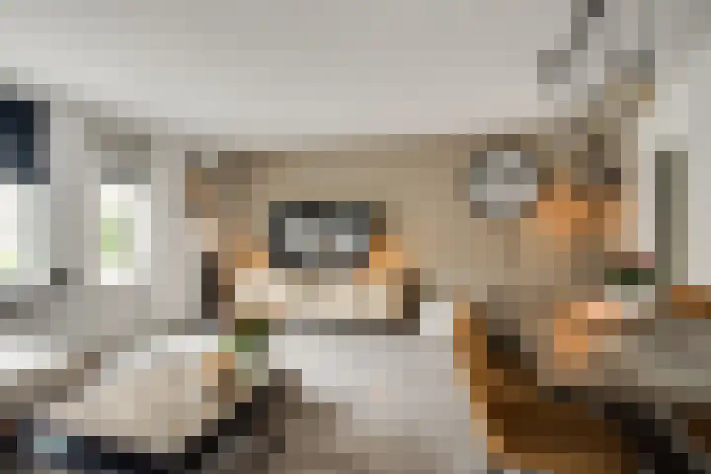 Platanendreef 20 Vlaardingen thumbnail 8