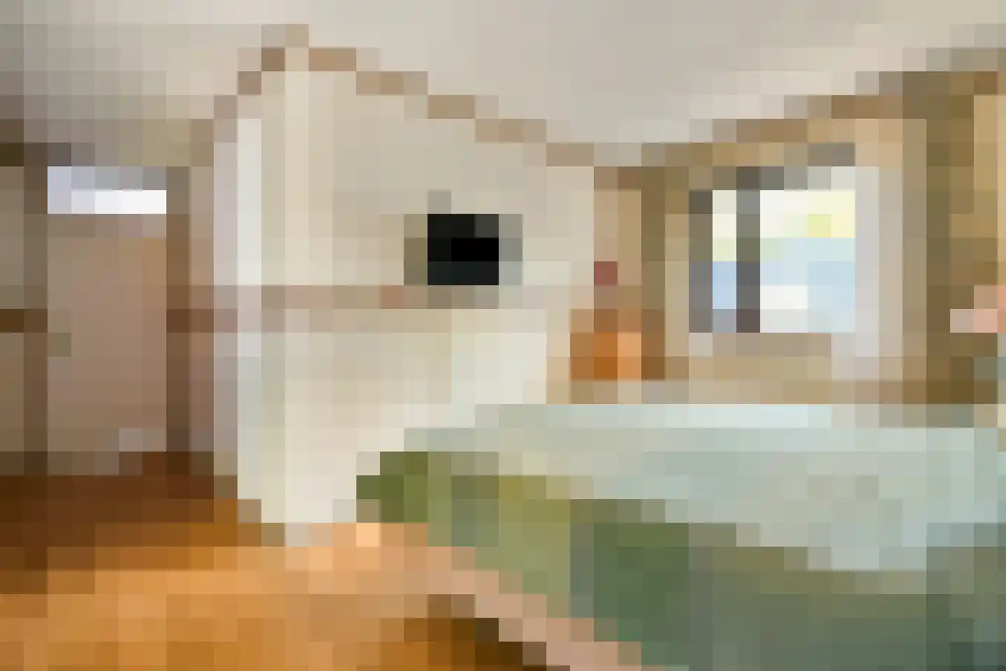Platanendreef 284 Vlaardingen thumbnail 23