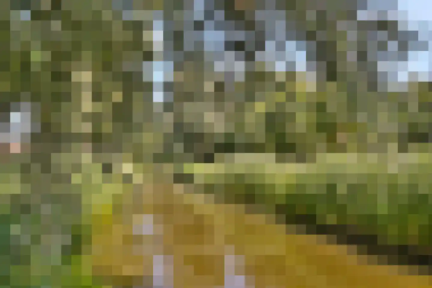 Platanendreef 284 Vlaardingen thumbnail 31