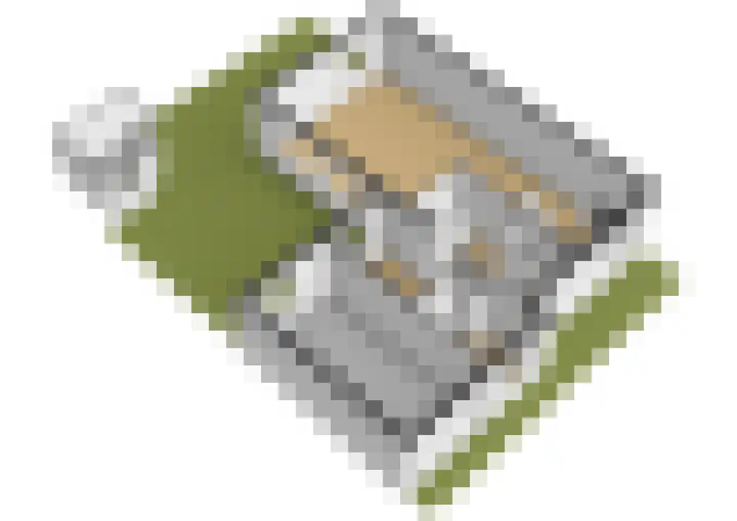 Platanendreef 284 Vlaardingen thumbnail 36
