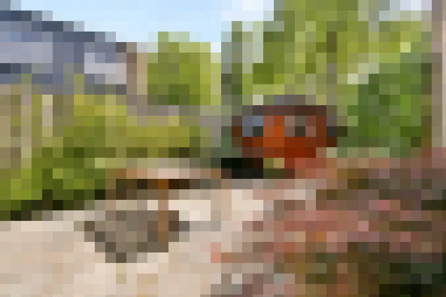 Platanendreef 284 Vlaardingen thumbnail 4