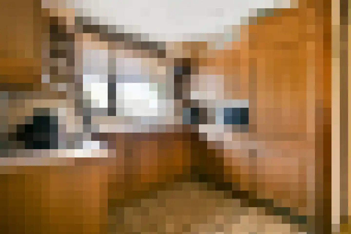 Platanendreef 284 Vlaardingen thumbnail 5