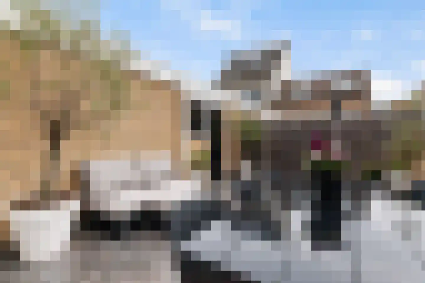Platanendreef 30 Vlaardingen thumbnail 19
