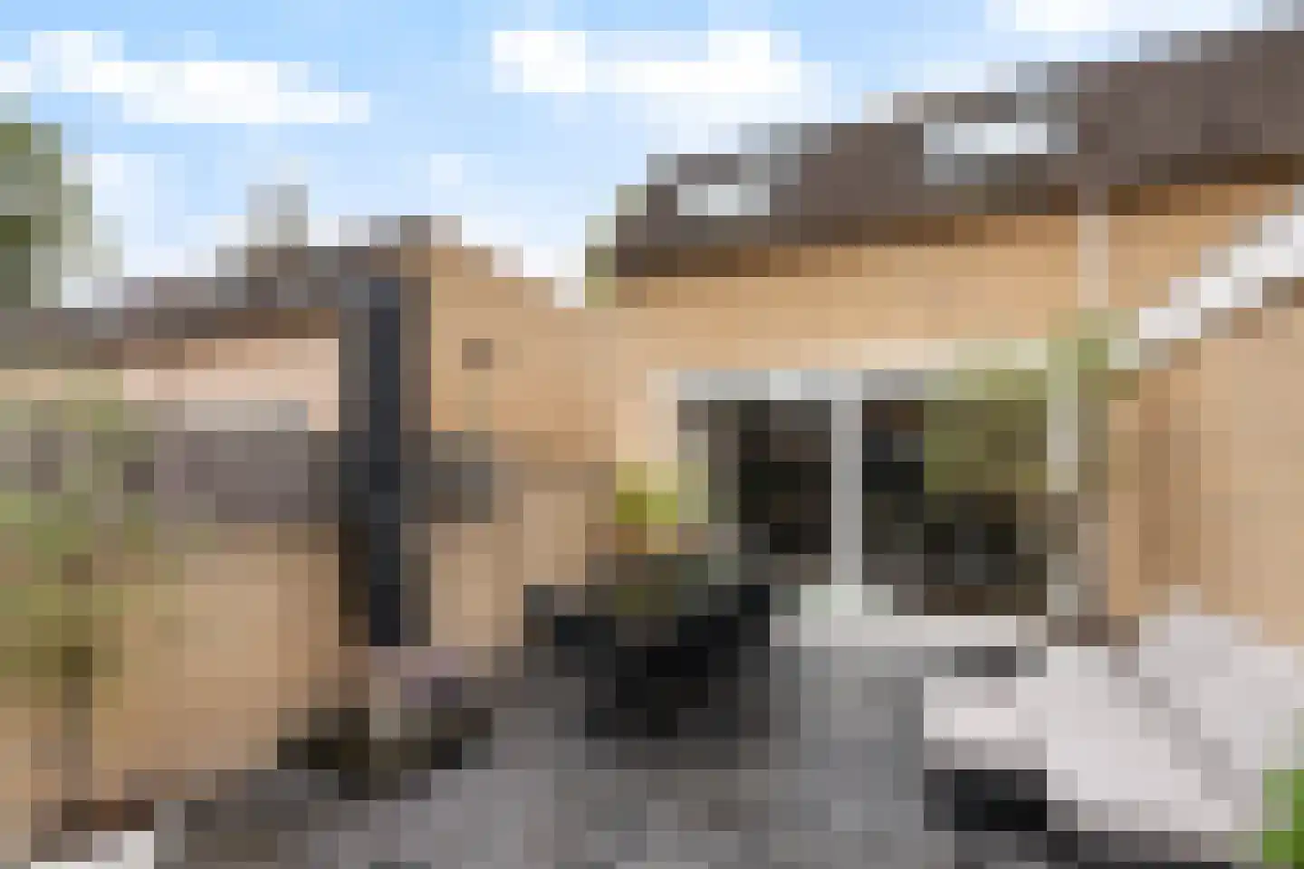 Platanendreef 30 Vlaardingen thumbnail 22