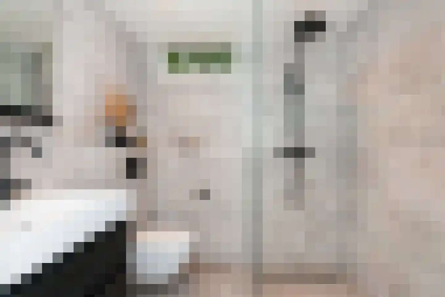 Platanendreef 30 Vlaardingen thumbnail 26