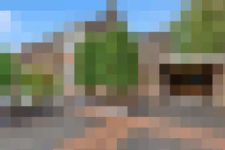 Platanendreef 33 Vlaardingen thumbnail 11
