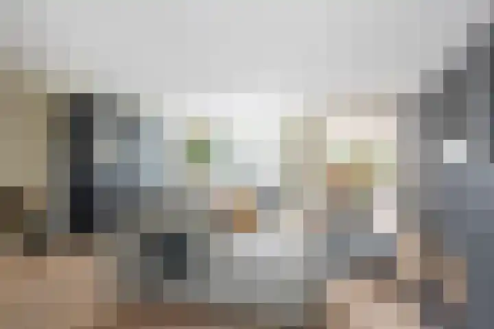 Platanendreef 33 Vlaardingen thumbnail 18