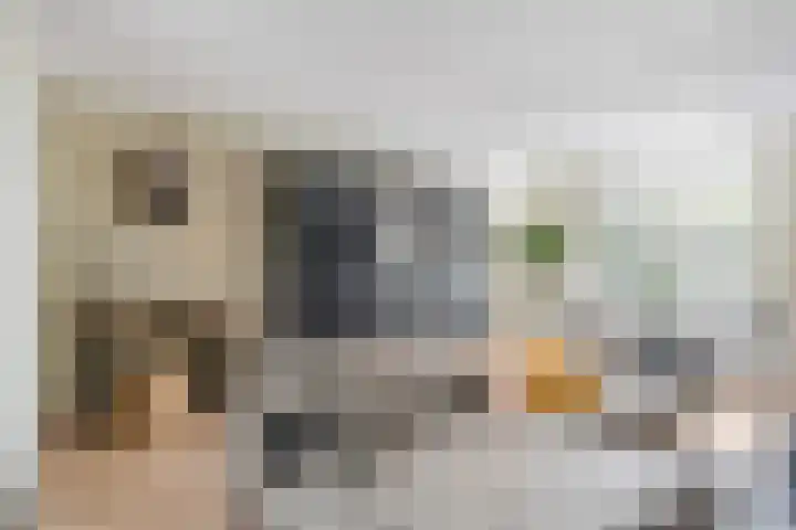 Platanendreef 33 Vlaardingen thumbnail 19
