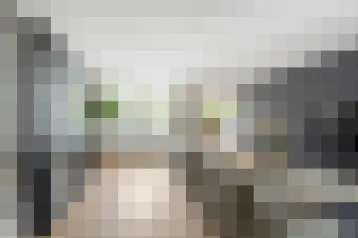 Platanendreef 33 Vlaardingen thumbnail 20