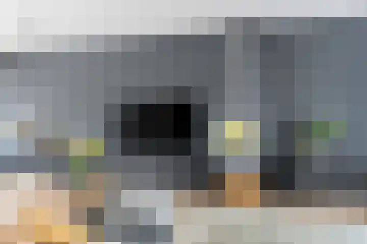 Platanendreef 33 Vlaardingen thumbnail 21