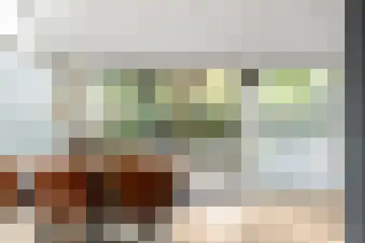 Platanendreef 33 Vlaardingen thumbnail 23