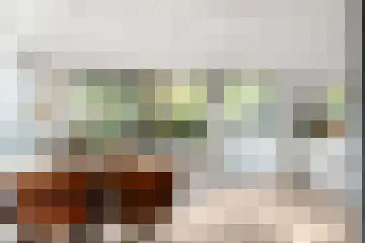 Platanendreef 33 Vlaardingen thumbnail 24
