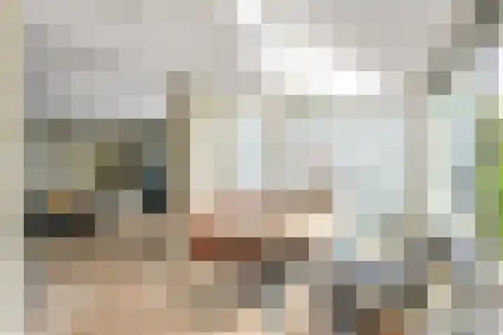 Platanendreef 33 Vlaardingen thumbnail 25