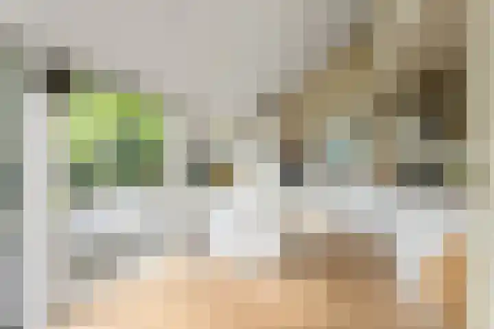 Platanendreef 33 Vlaardingen thumbnail 28