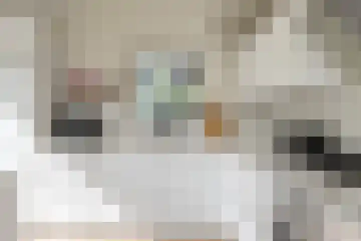 Platanendreef 33 Vlaardingen thumbnail 30