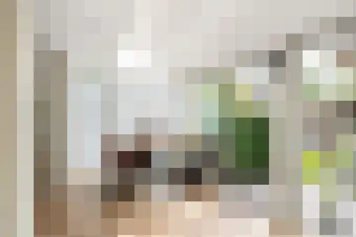 Platanendreef 33 Vlaardingen thumbnail 32