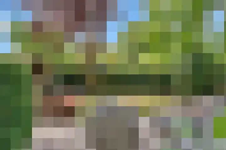 Platanendreef 33 Vlaardingen thumbnail 34