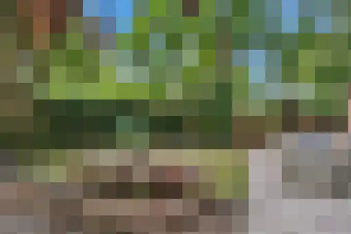 Platanendreef 33 Vlaardingen thumbnail 35