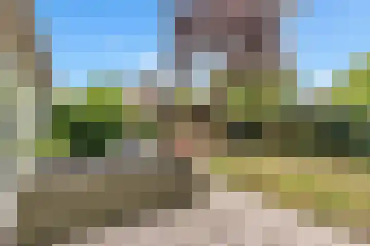 Platanendreef 33 Vlaardingen thumbnail 36