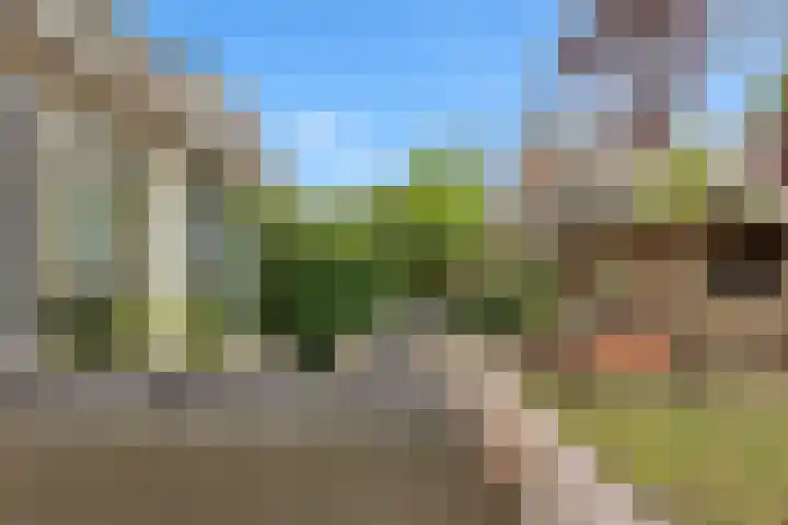 Platanendreef 33 Vlaardingen thumbnail 37