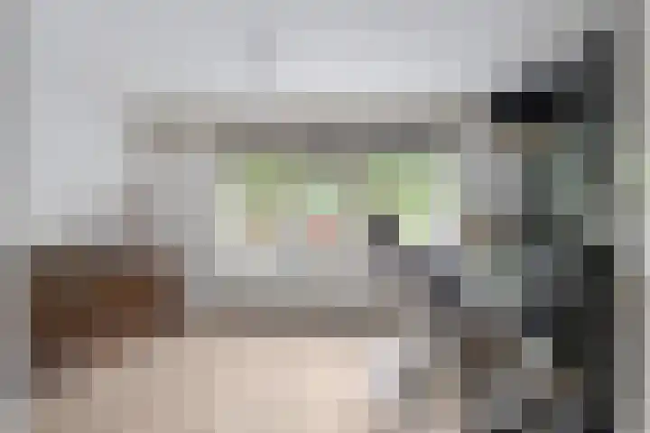 Platanendreef 33 Vlaardingen thumbnail 39