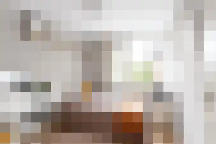 Platanendreef 33 Vlaardingen thumbnail 49