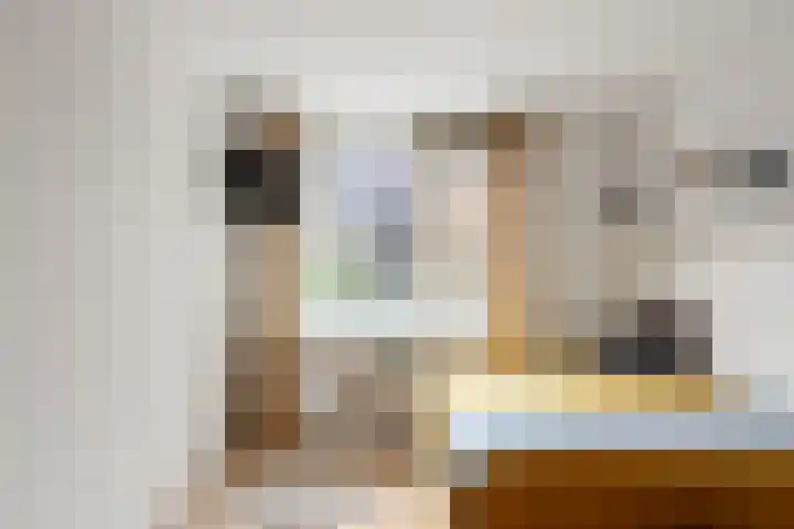 Platanendreef 33 Vlaardingen thumbnail 54