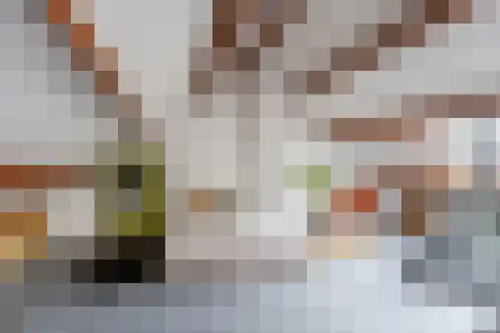 Platanendreef 33 Vlaardingen thumbnail 57